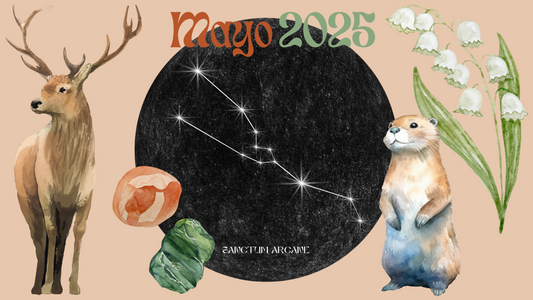 Mayo 2025💚